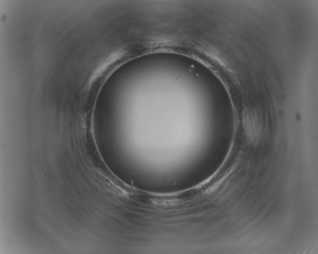 X0000074931309200609011040