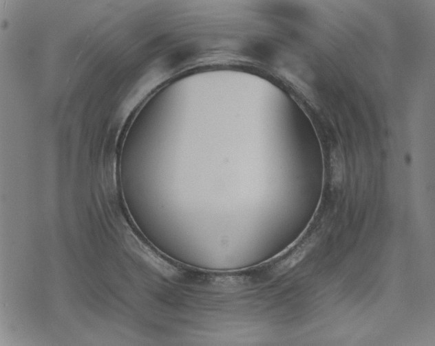 X0000074931322200609011041