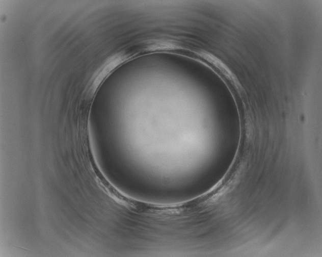 X0000074931337200609011041