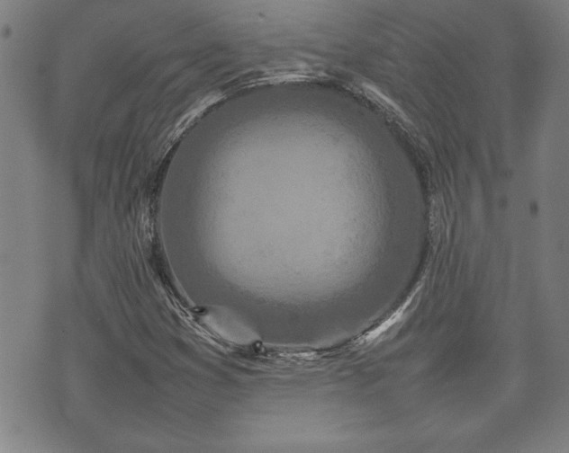 X0000074931353200609011040