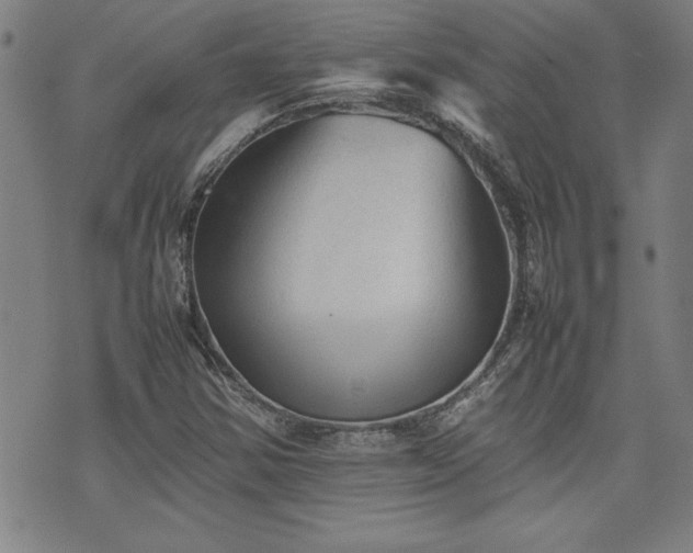 X0000074931354200609011040