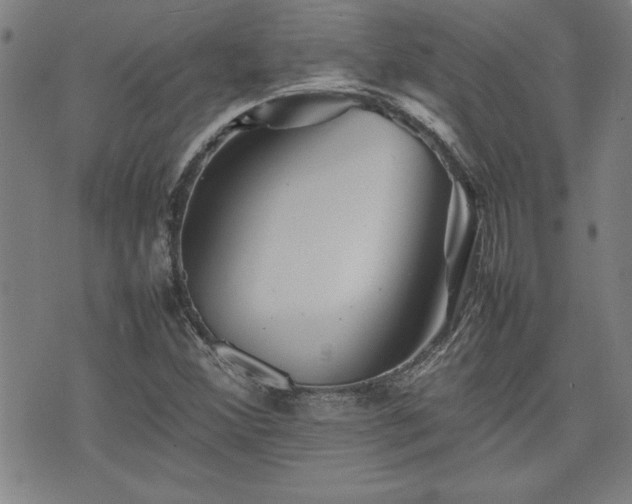 X0000074931356200609011040