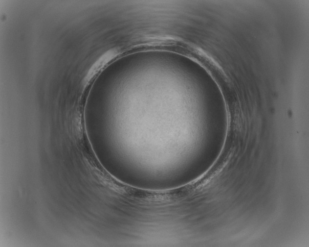 X0000074931362200609011040