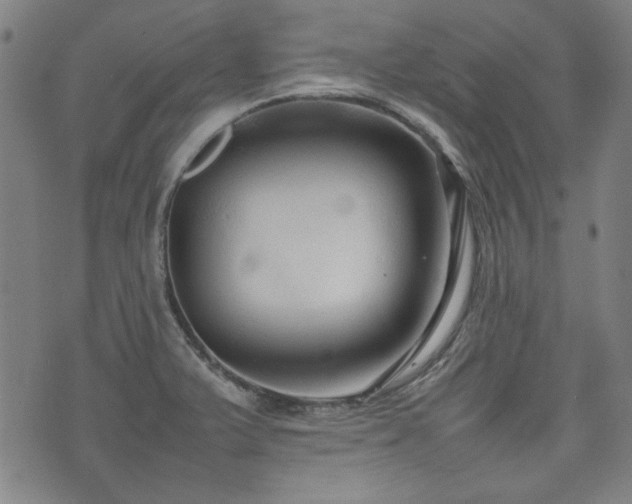 X0000074931375200609011040