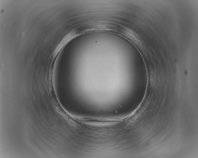 X0000074931378200609011040