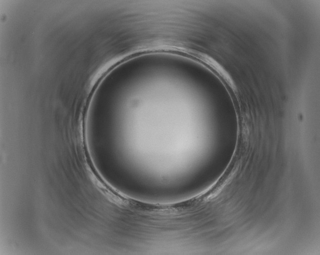 X0000074931388200609011039