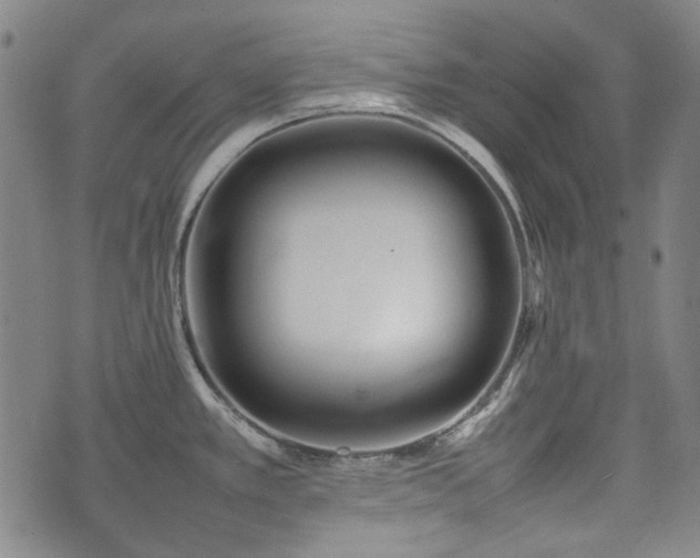 X0000074931389200609011039