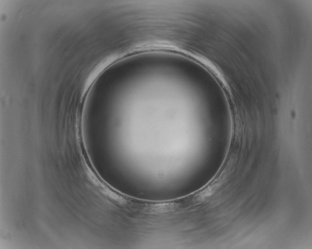 X0000074931390200609011039