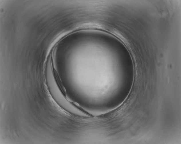 X0000074931392200609011039