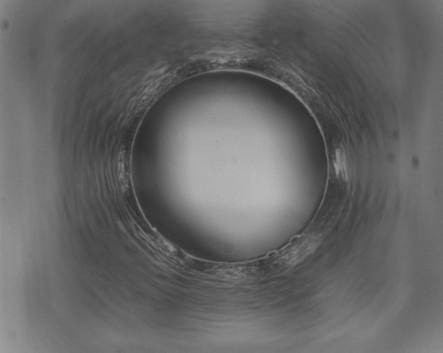X0000074931396200609011039