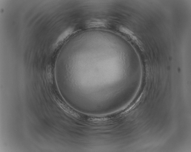 X0000074931403200609011039