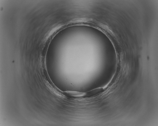 X0000074931404200609011039