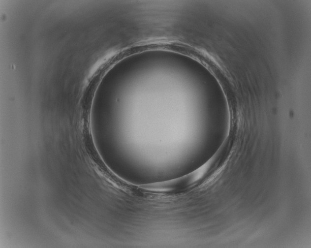 X0000074931406200609011039