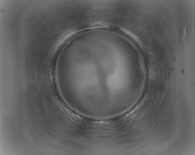 X0000074931407200609011039