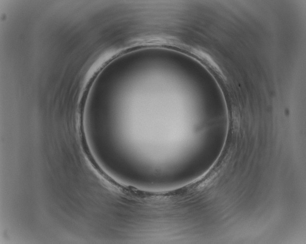 X0000074931424200609011039