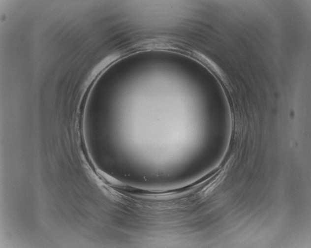 X0000074931434200609011039