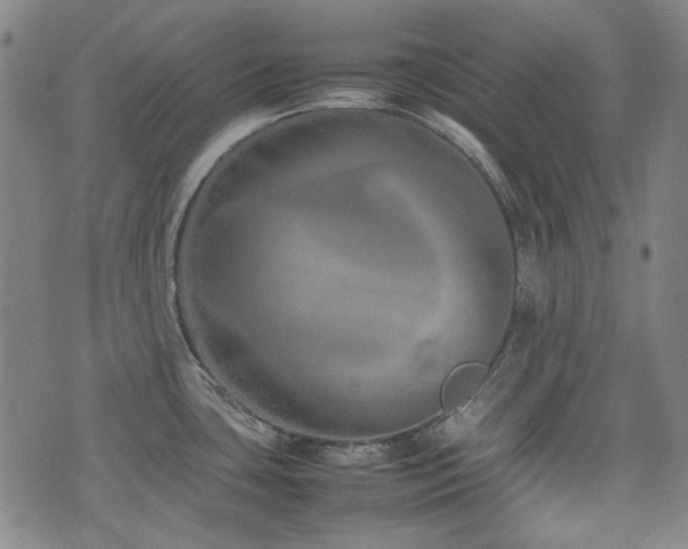 X0000074931435200609011039