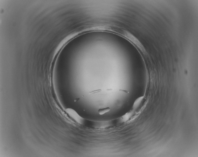 X0000074931436200609011039