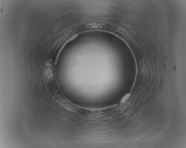 X0000074931442200609011039