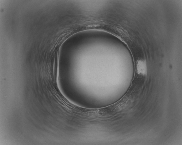 X0000074931444200609011039