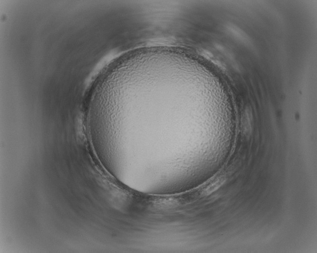 X0000074931454200609011038