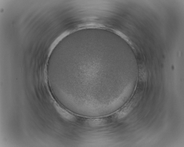 X0000074931474200609011038