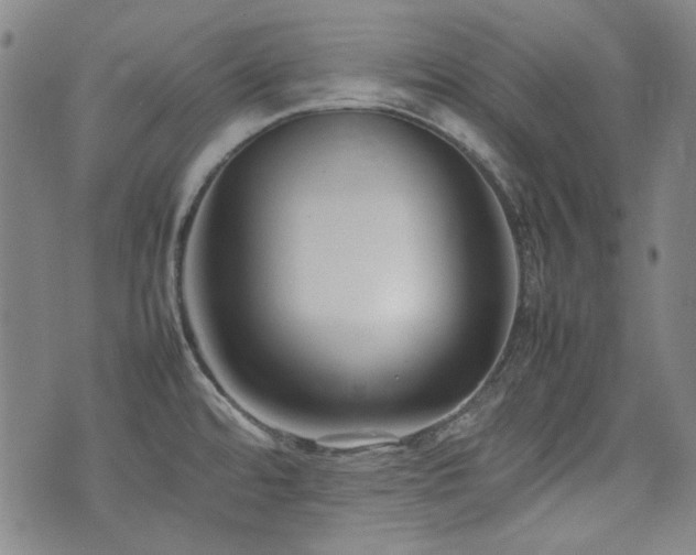 X0000074931480200609011038