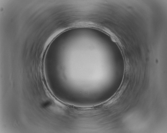 X0000074931486200609011038