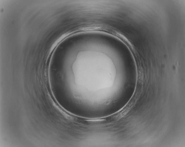 X0000074931487200609011038