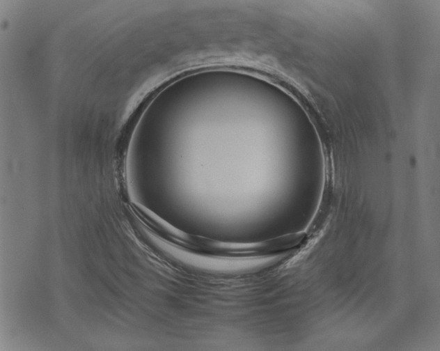 X0000074931501200609011037