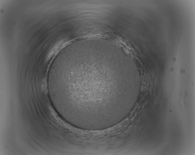 X0000074930002200609081337