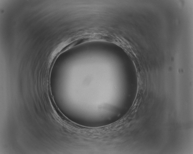 X0000074930003200609081337