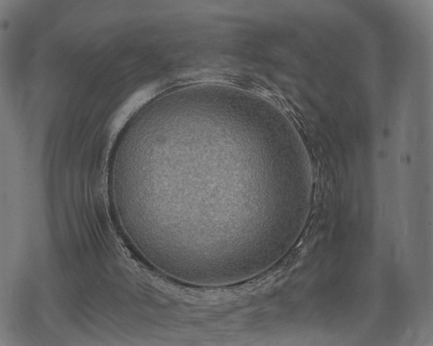 X0000074930006200609081337