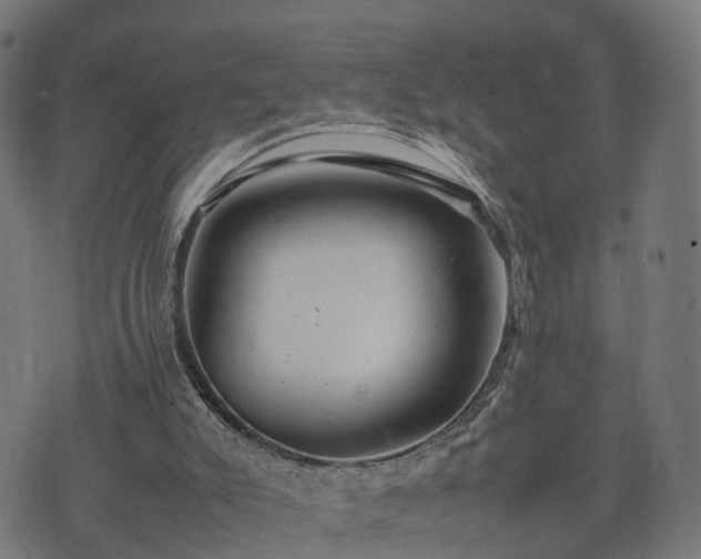 X0000074930007200609081337