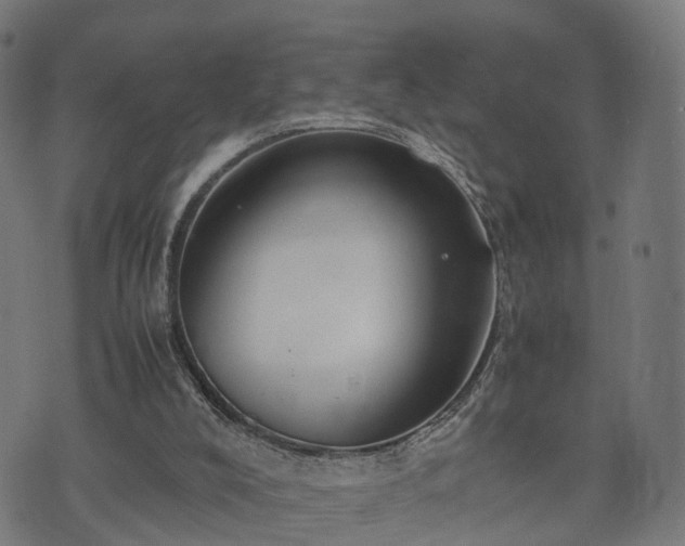 X0000074930008200609081337