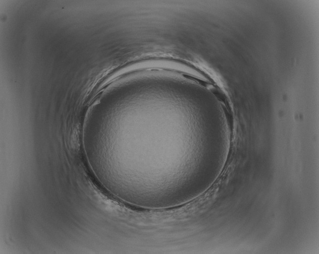 X0000074930009200609081337