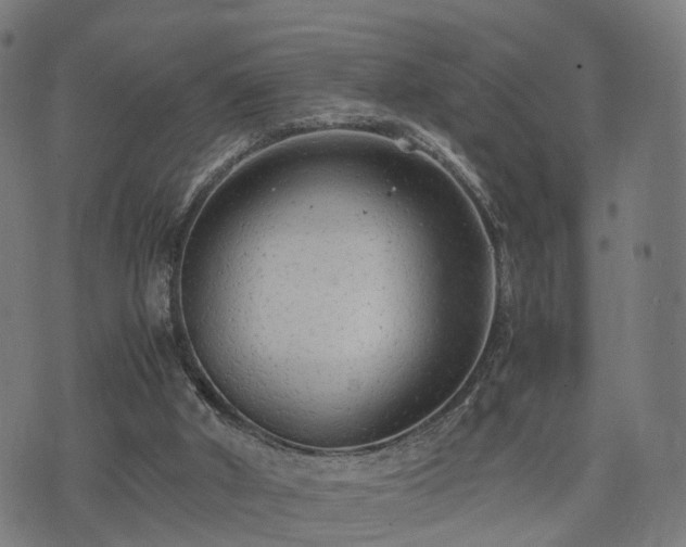 X0000074930010200609081337