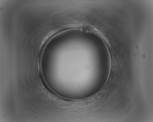 X0000074930011200609081337