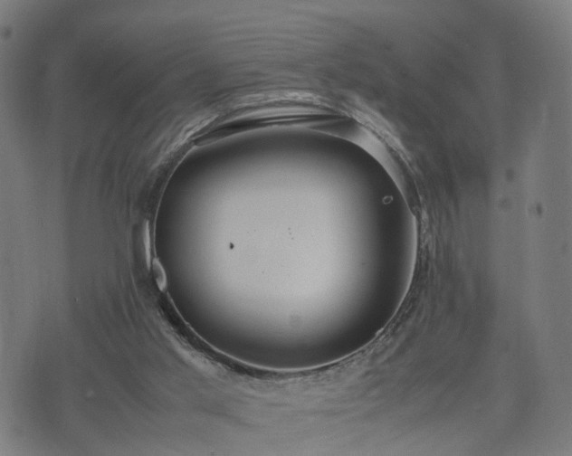 X0000074930013200609081337