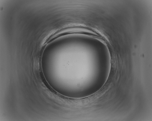 X0000074930015200609081337