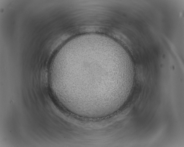 X0000074930016200609081337