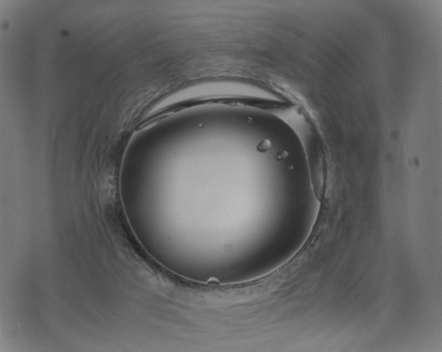 X0000074930017200609081337