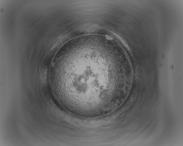 X0000074930018200609081337