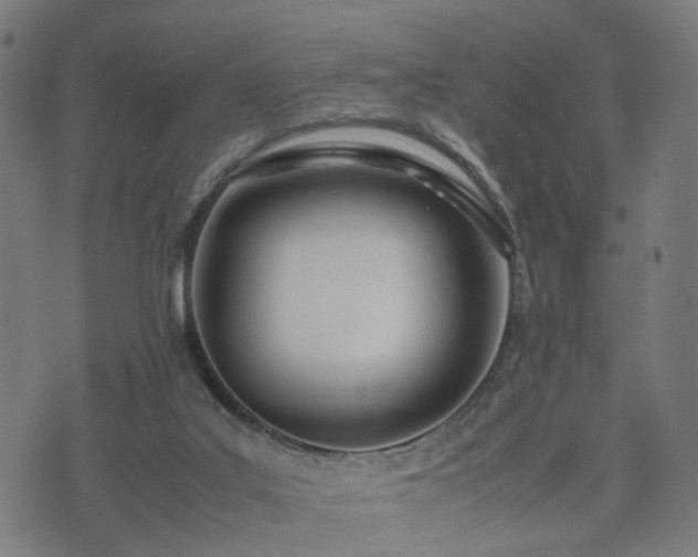 X0000074930019200609081337