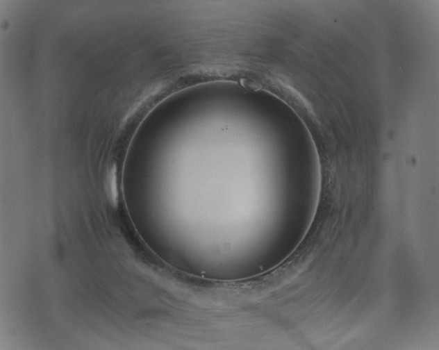 X0000074930020200609081337