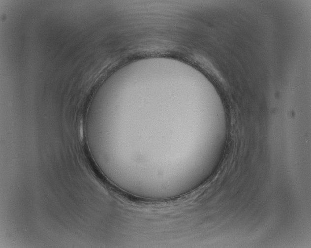 X0000074930021200609081337