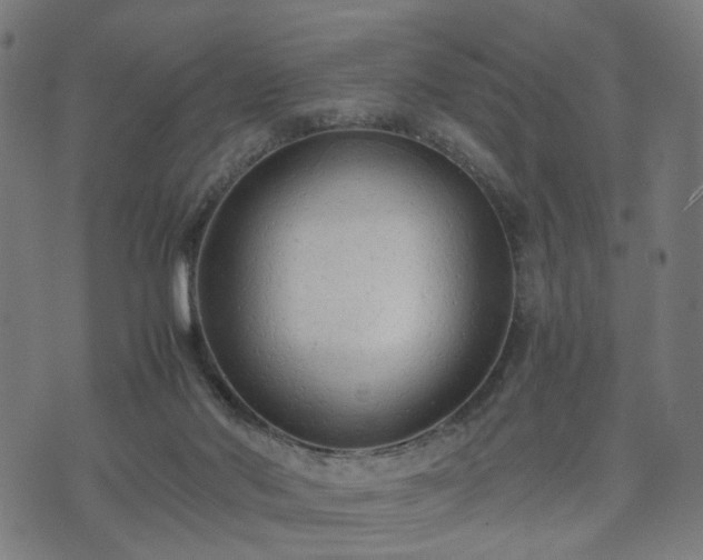 X0000074930022200609081337