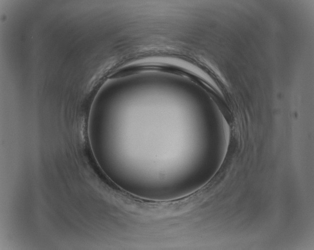 X0000074930023200609081337