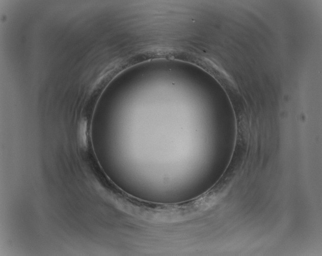 X0000074930024200609081337