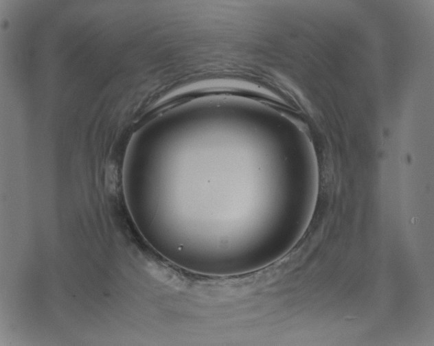 X0000074930025200609081337